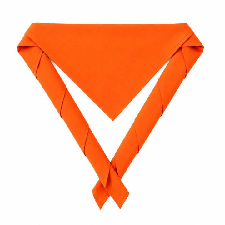 Basic Scout Scarf