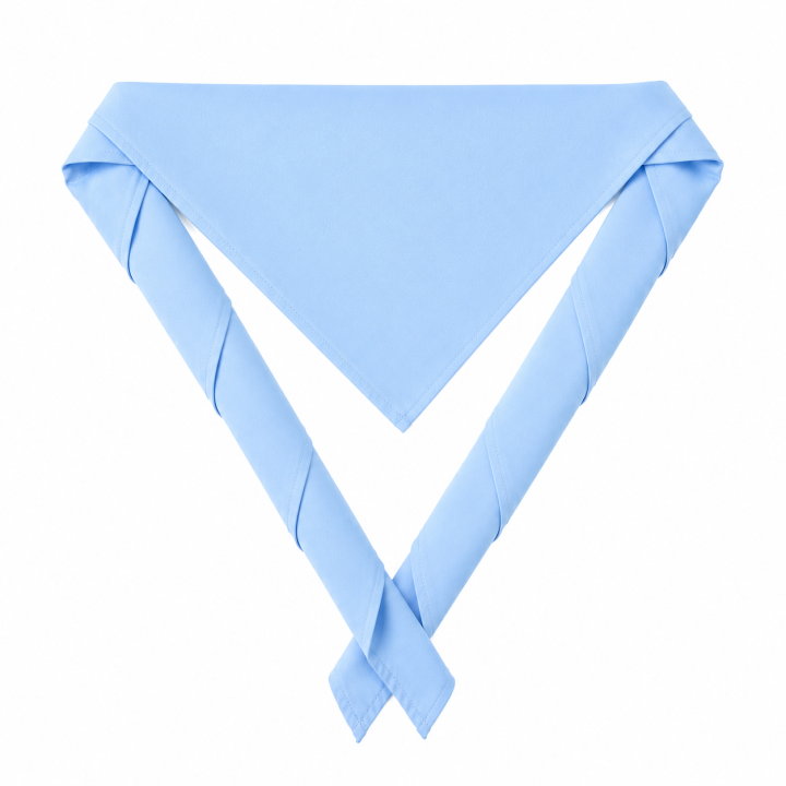 Basic Scout Scarf