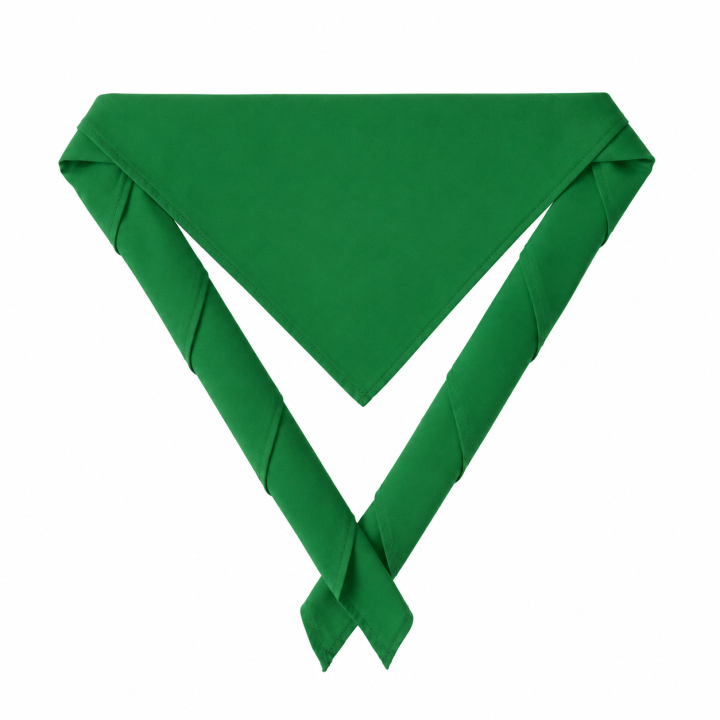 Basic Scout Scarf