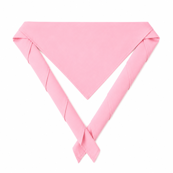 Basic Scout Scarf