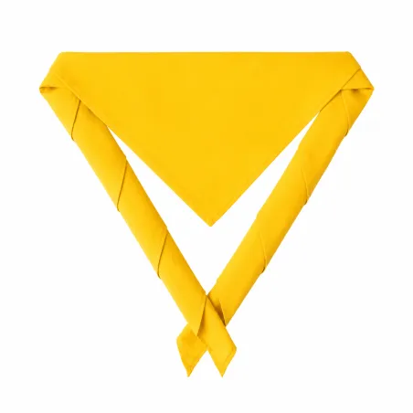 Basic Scout Scarf