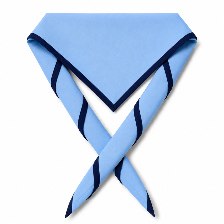 Scout Scarf With Brime